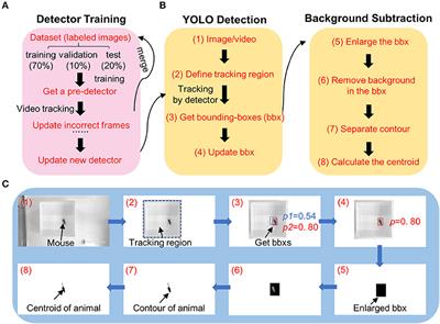 DeepBhvTracking: A Novel Behavior Tracking Method for Laboratory Animals Based on Deep Learning